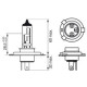 Галогенная автолампа Bosch H4 Plus 120 Gigalight DBL 12V 60/55W (1987301425)